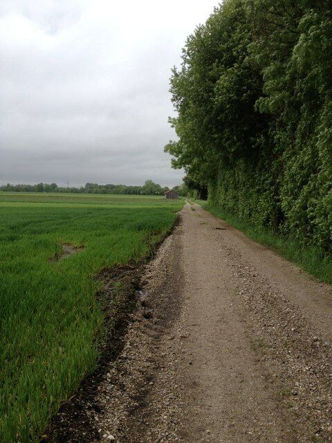 Weg im Erdinger Moos bei Niederneuching