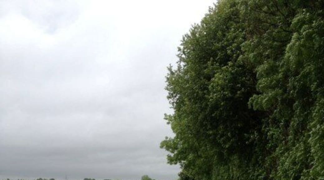 Weg im Erdinger Moos bei Niederneuching