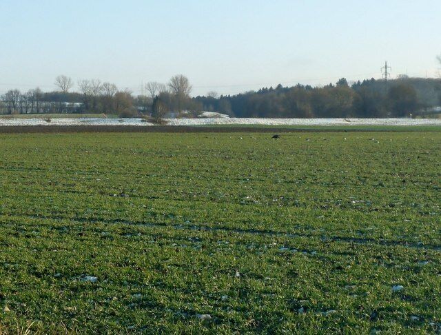 Winterliches Feld bei Oberneuching