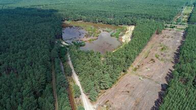 An aerial view of a forested area with a pond, a cleared section, and wind turbines in the distance.