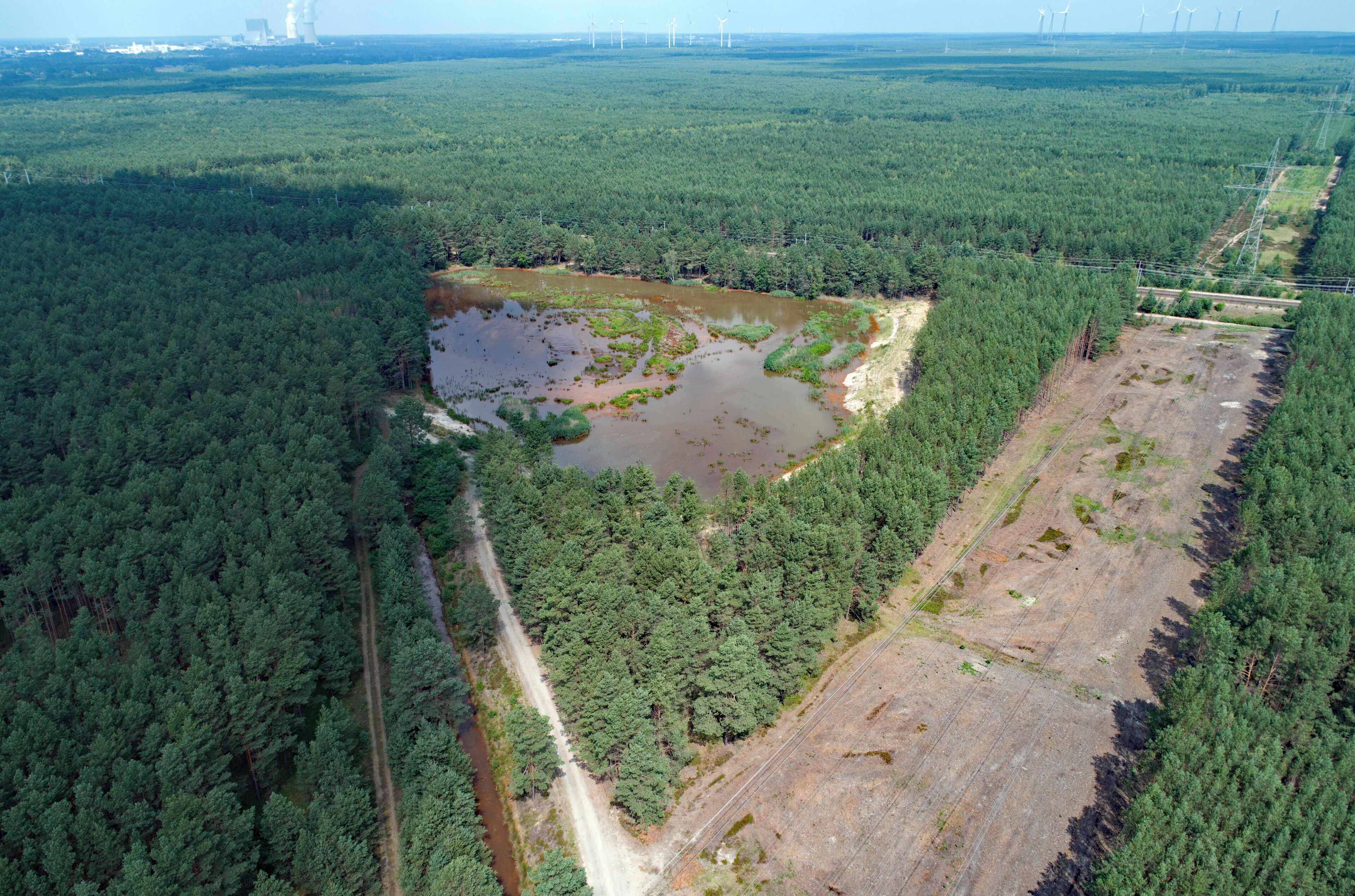 An aerial view of a forested area with a pond, a cleared section, and wind turbines in the distance.
