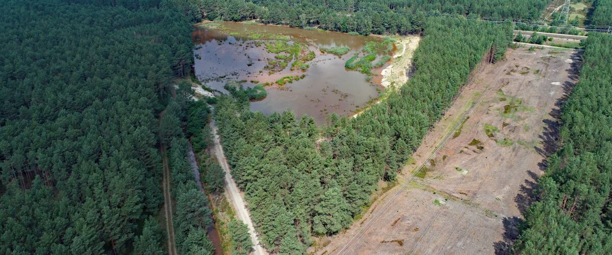 An aerial view of a forested area with a pond, a cleared section, and wind turbines in the distance.