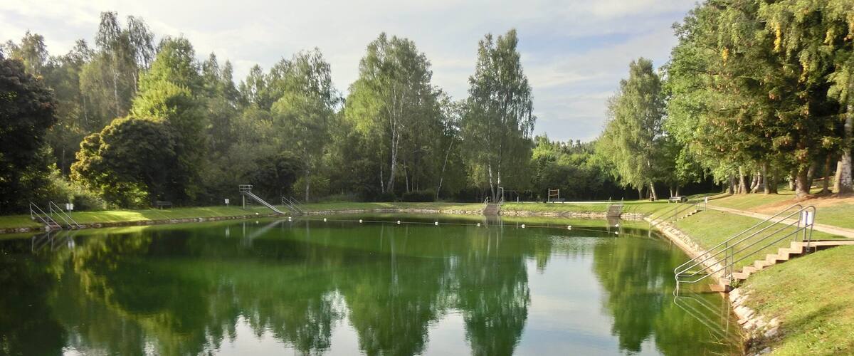 A calm pond surrounded by trees and grassy areas with steps leading into the water.
