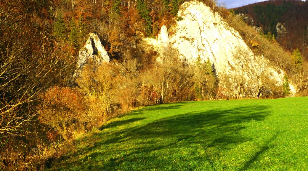 And Then The Sun Cames Out