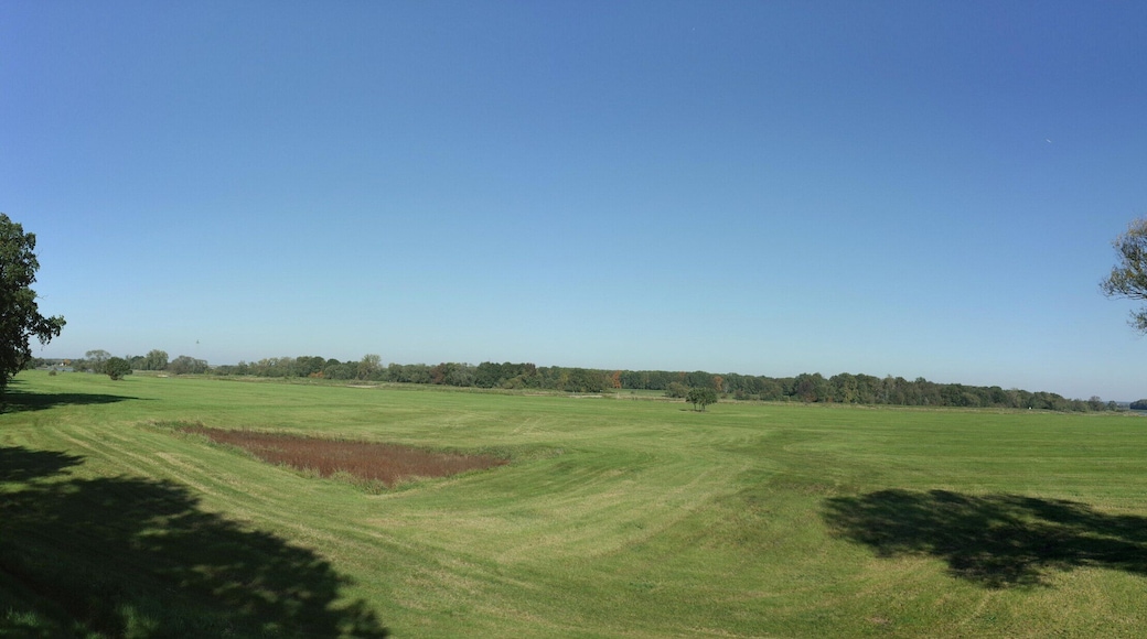 Oranienbaum-Wörlitz