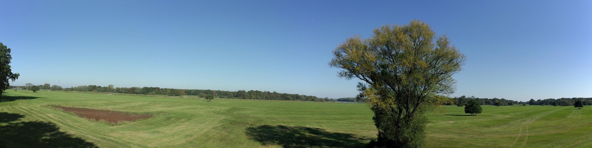 A wide-open field with a solitary tree in the foreground and a line of trees in the distance under a clear blue sky.
