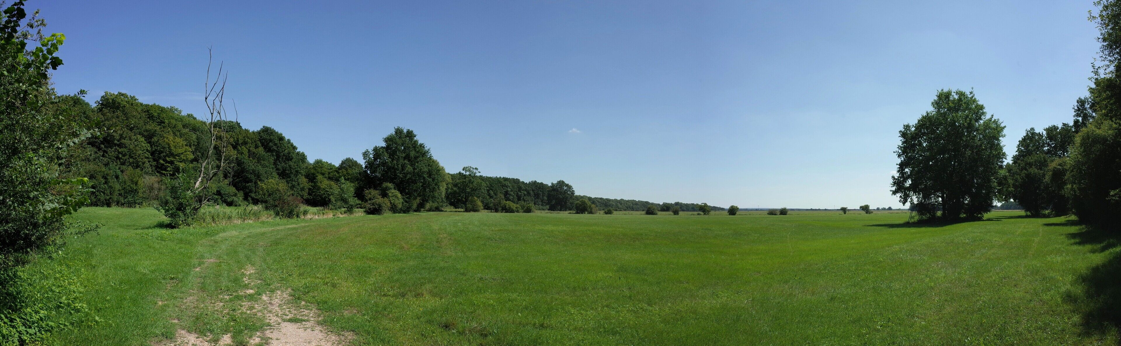 Oranienbaum-Wörlitz, Ortsteil Wörlitz, Kremnitzwiese (Baudenkmal im Denkmalverzeichniss Sachsen-Anhalt, Erfassungsnummer: 094 40644 000 000 000 000 [1])