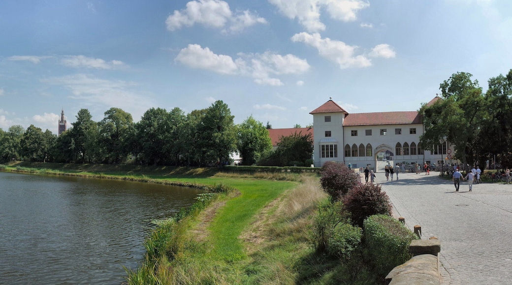 Oranienbaum-Wörlitz