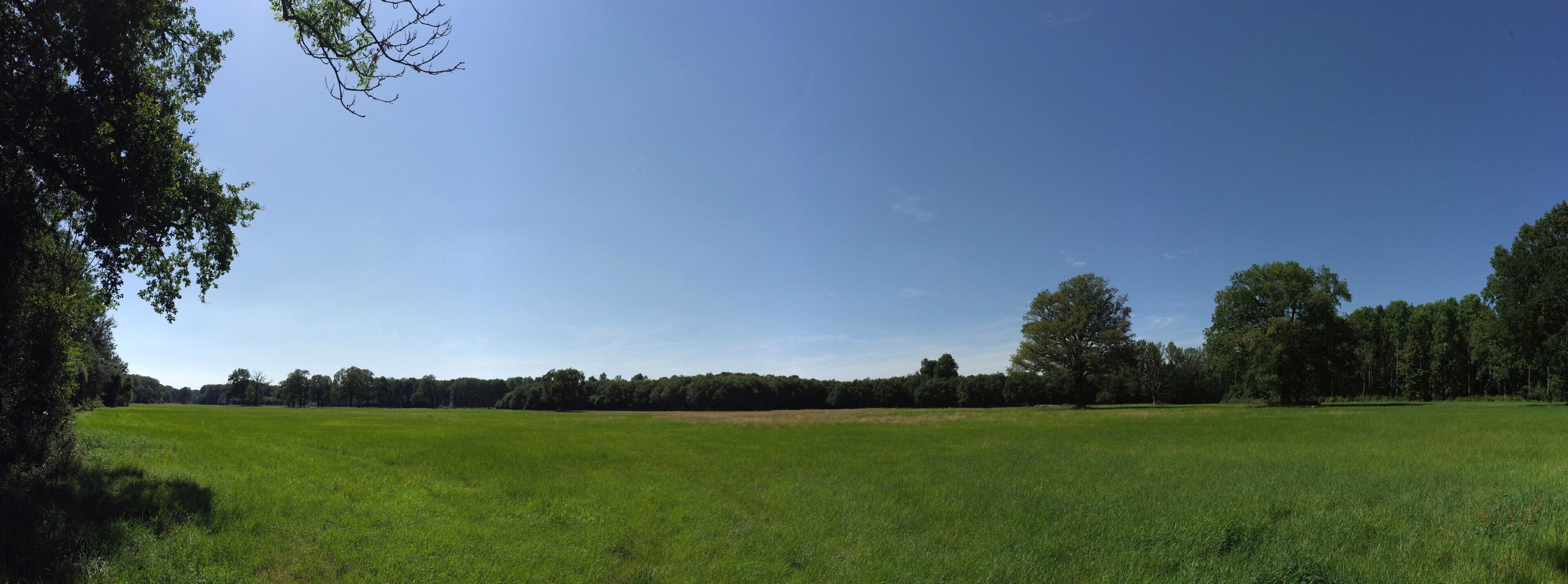 Oranienbaum-Wörlitz, Ortsteil Wörlitz, Ochsenstallwiese (Baudenkmal im Denkmalverzeichniss Sachsen-Anhalt, Erfassungsnummer: 094 40643 000 000 000 000 [1])