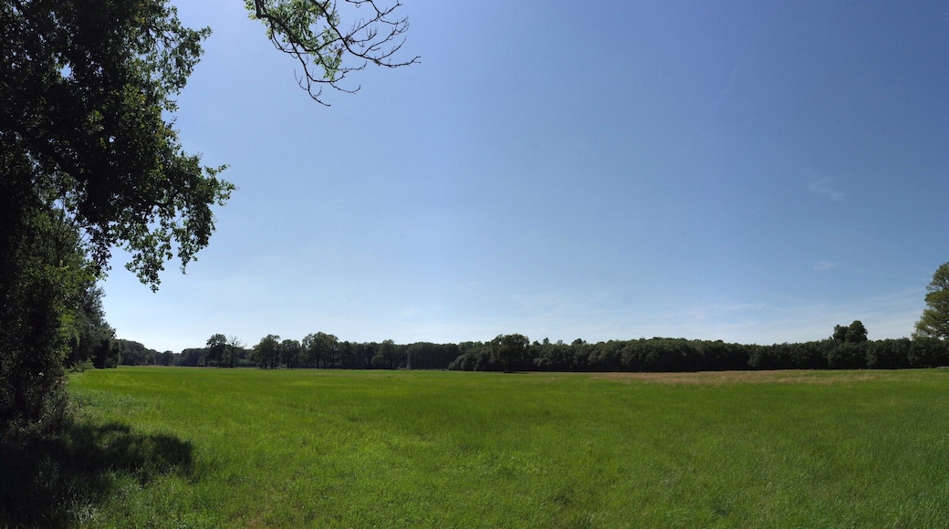 Oranienbaum-Wörlitz