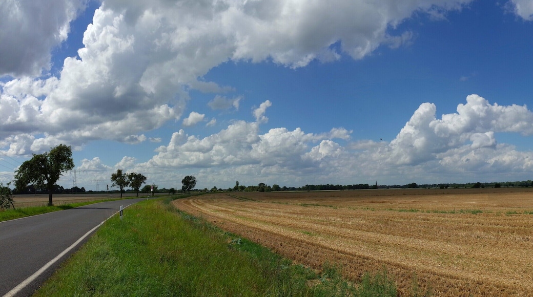 Oranienbaum-Wörlitz