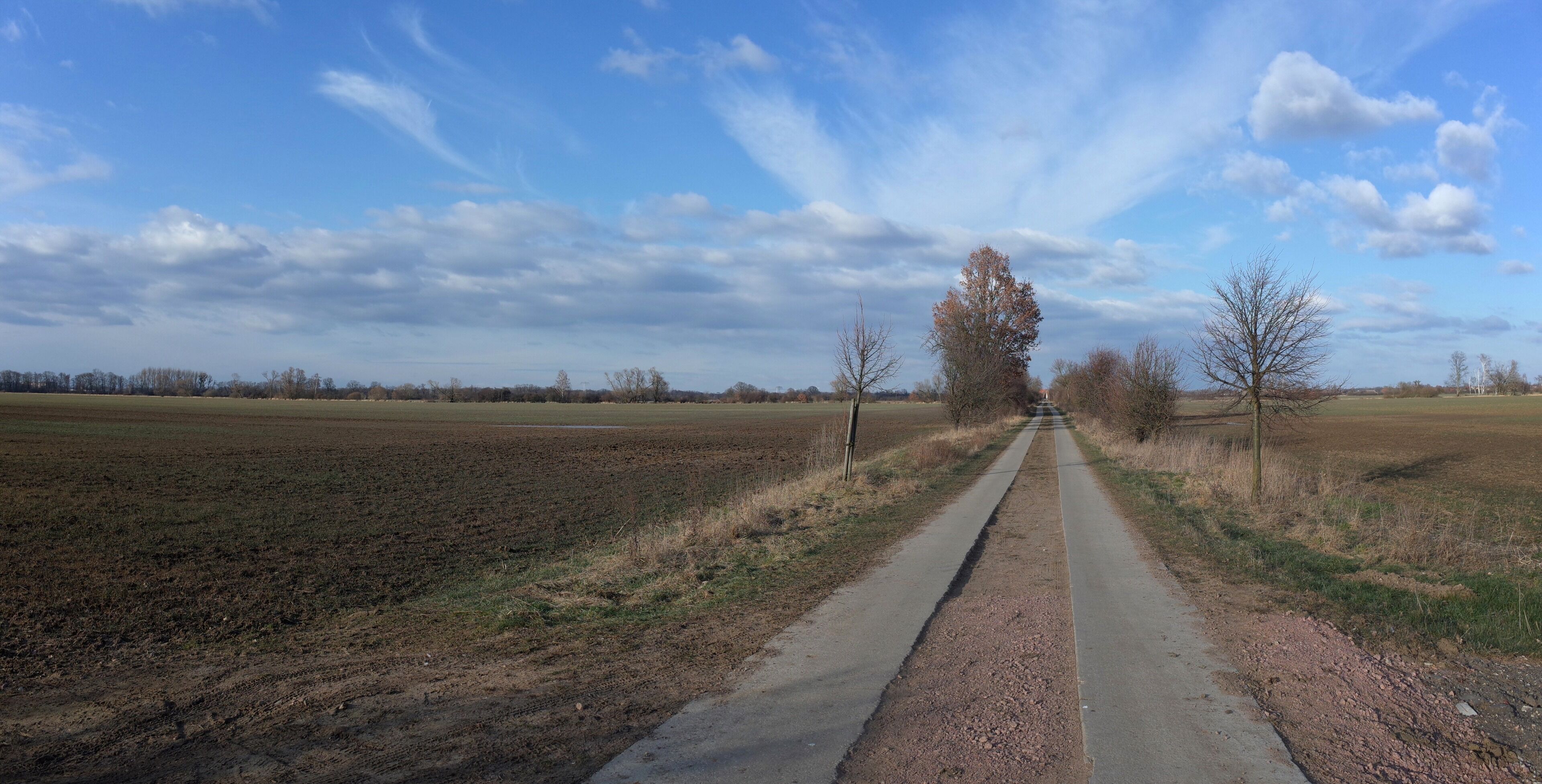 Oranienbaum-Wörlitz, Ortsteil Münsterberg. Feldweg zwischen Wörlitz und Oranienbaum, dieser ist Teil vom örtlichen Rad- und Wanderweg Amalien Weg. Die Felder am Wegrand sind ein Kulturdenkmal im Denkmalverzeichnis des Landes Sachsen-Anhalt.