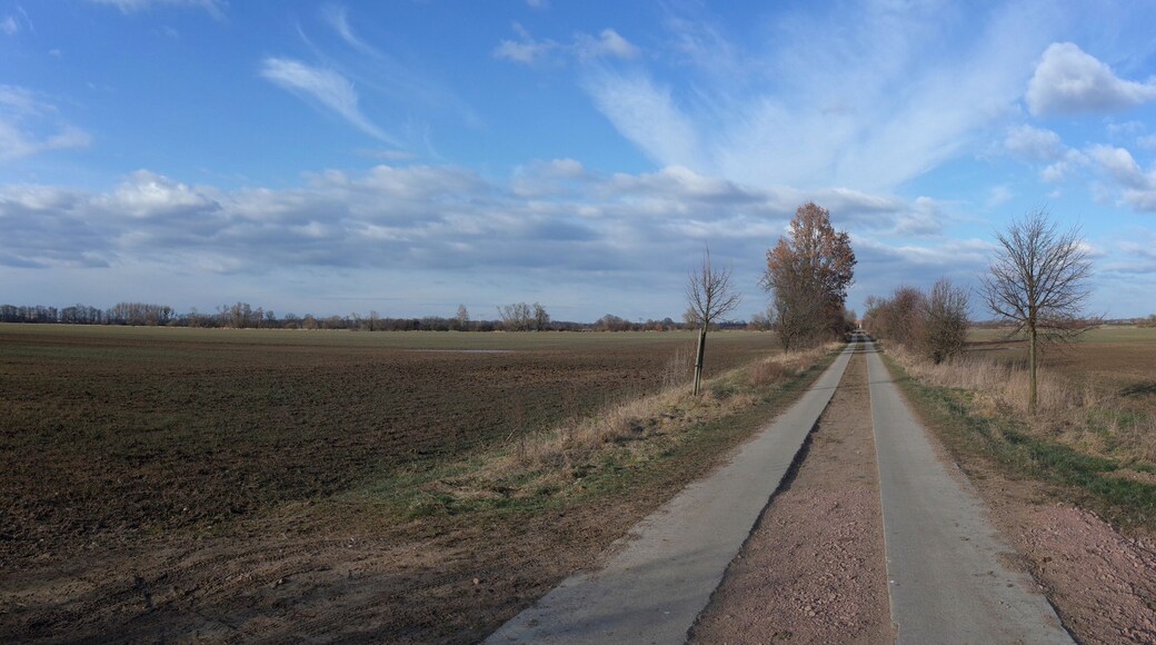 Oranienbaum-Wörlitz, Ortsteil Münsterberg. Feldweg zwischen Wörlitz und Oranienbaum, dieser ist Teil vom örtlichen Rad- und Wanderweg Amalien Weg. Die Felder am Wegrand sind ein Kulturdenkmal im Denkmalverzeichnis des Landes Sachsen-Anhalt.
