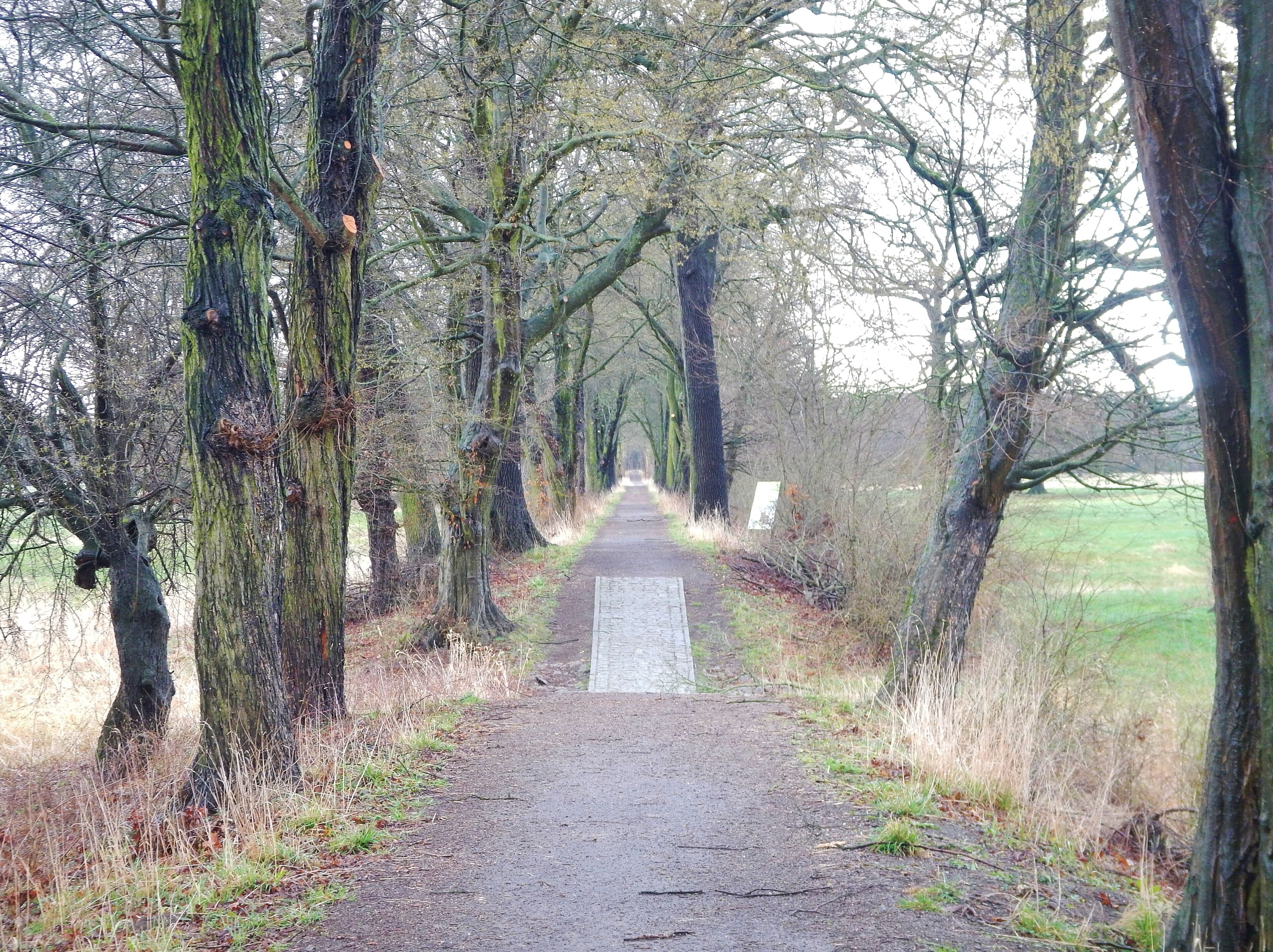 Biosphärenreservat Mittel-Elbe