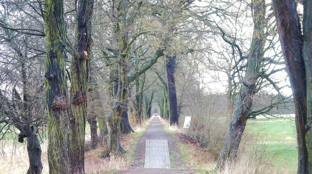 Biosphärenreservat Mittel-Elbe