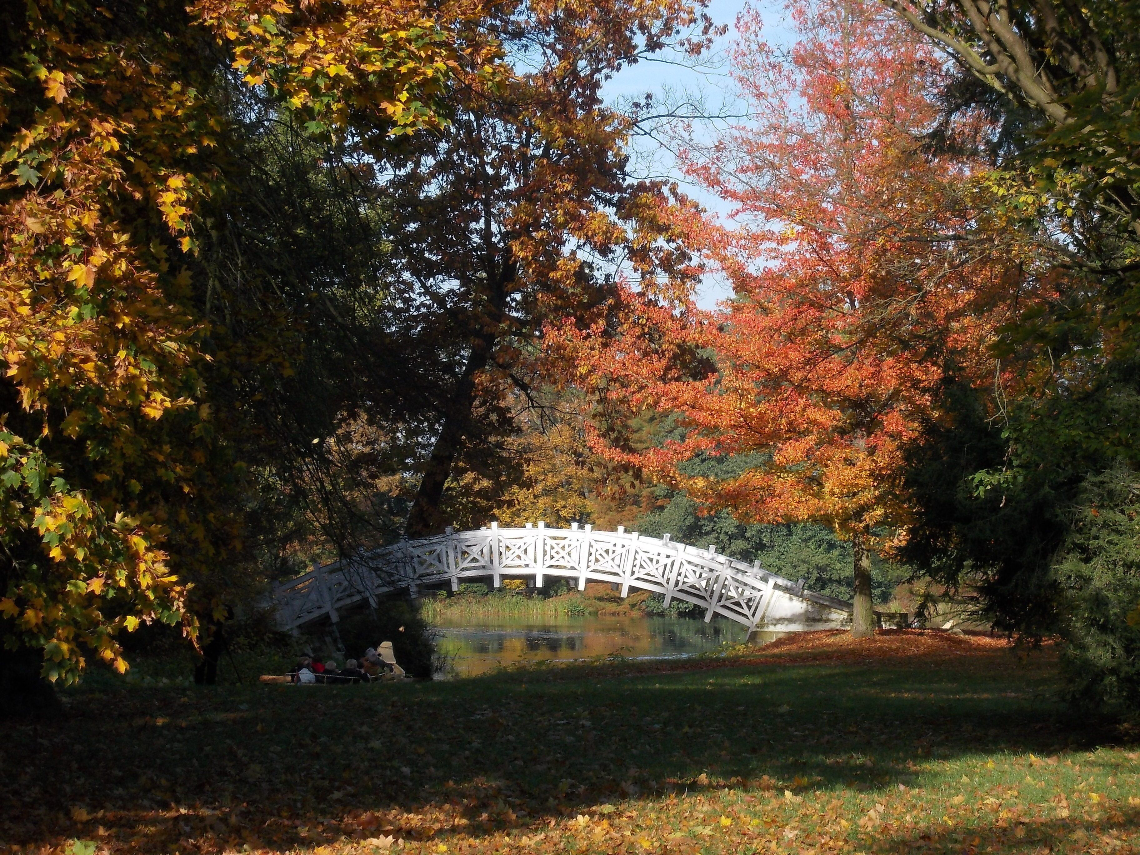 A white arched bridge over a pond surrounded by trees with autumn foliage.