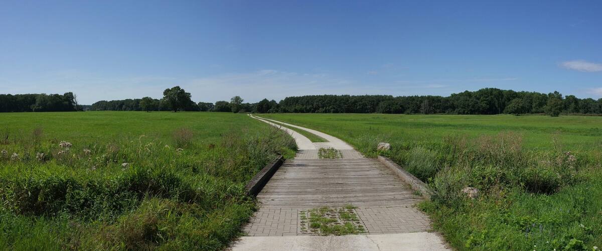 A paved pathway through a grassy field with trees in the background.
