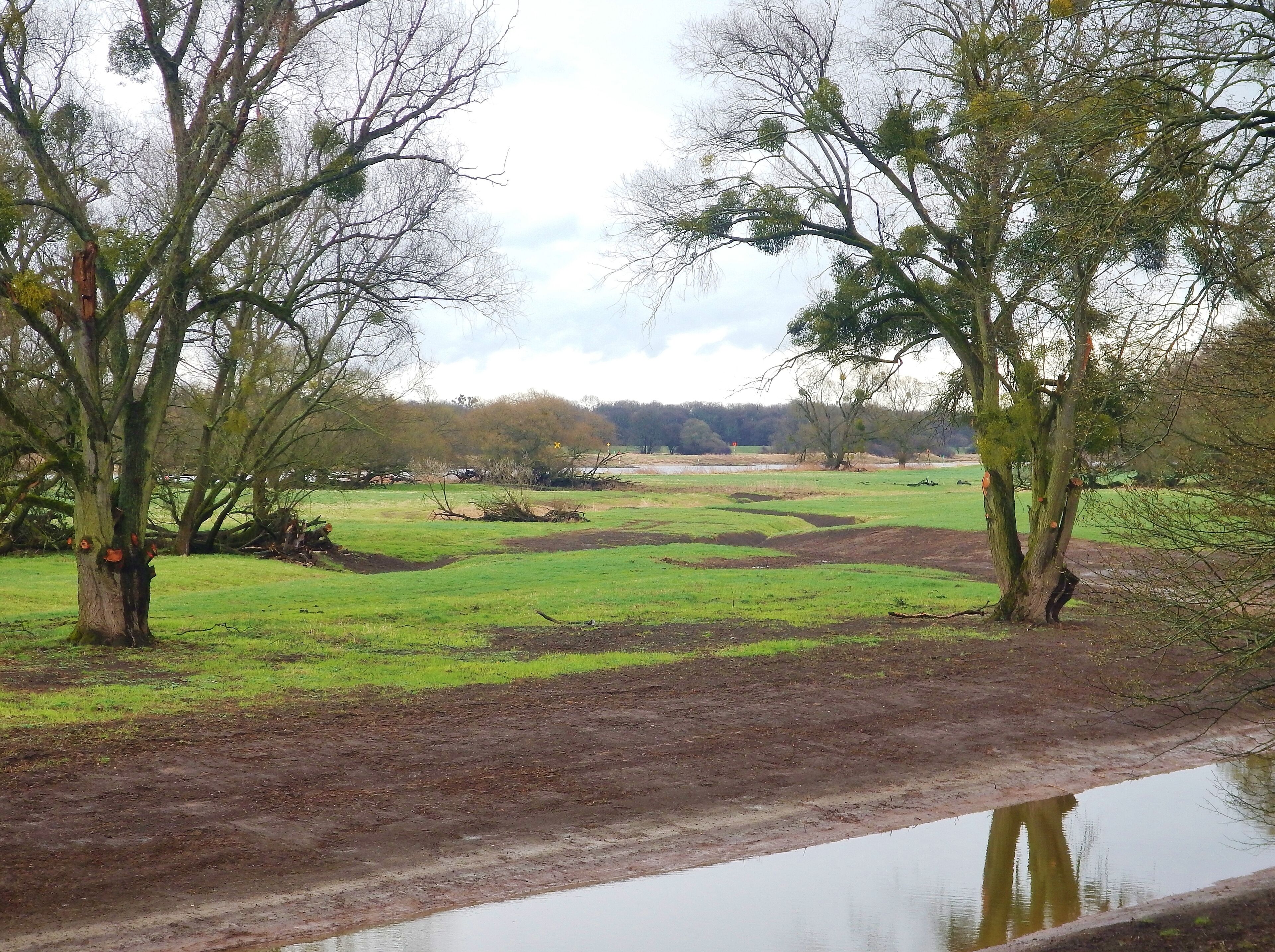Die Elbe beim Park Sieglitzer Berg