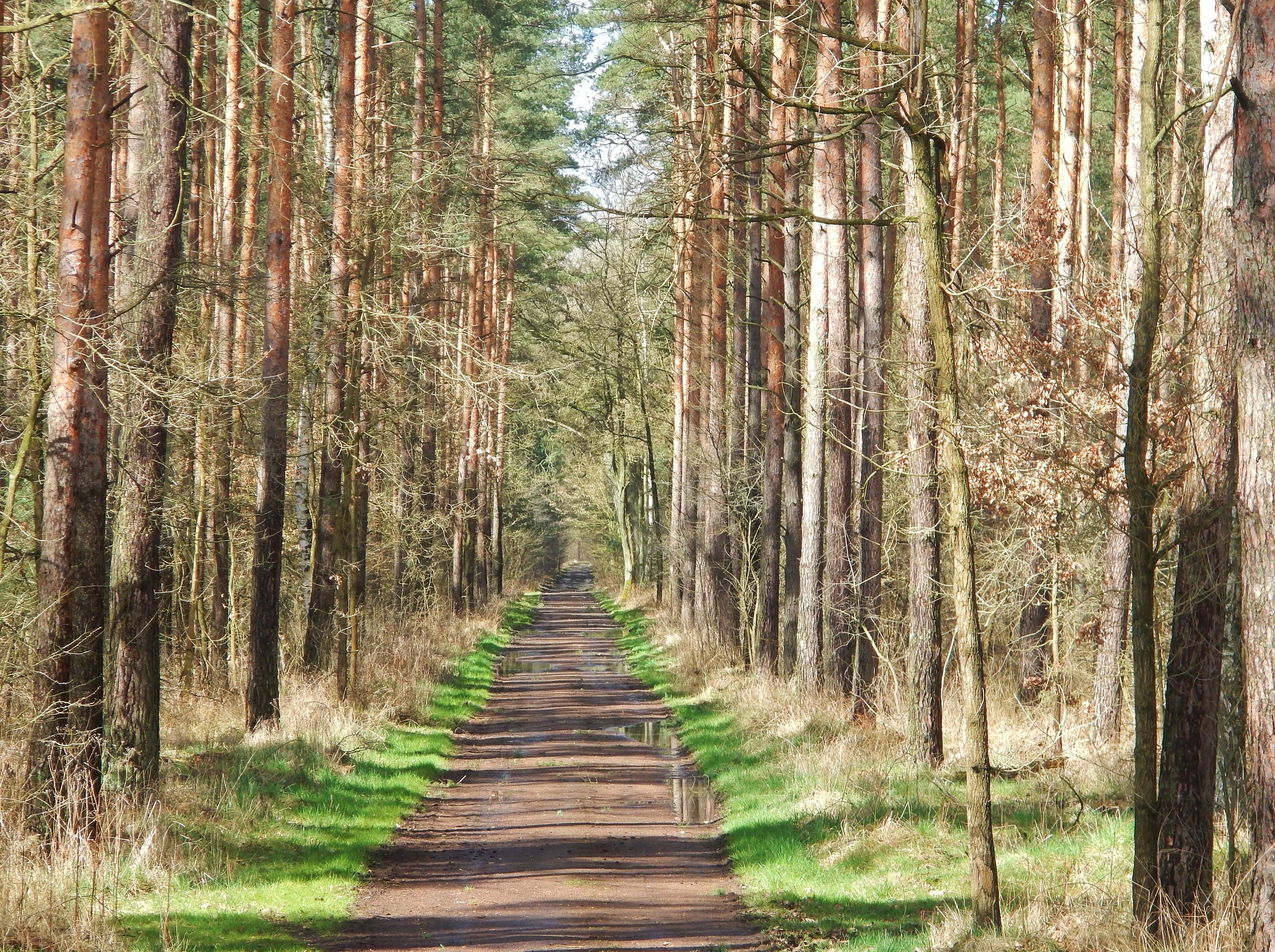 Im Biosphärenreservat Mittelelbe bei Oranienbaum-Wörlitz