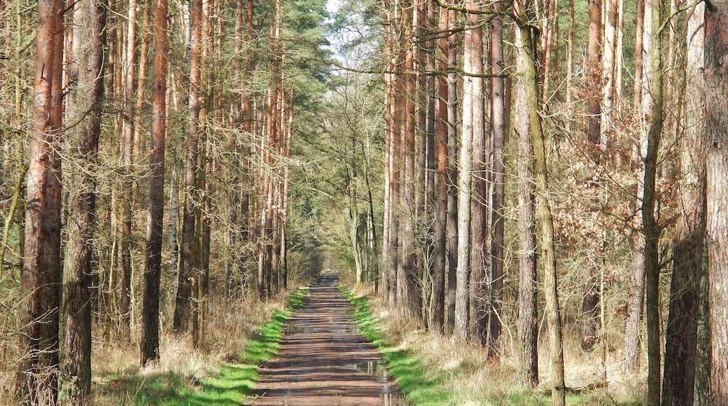 Im Biosphärenreservat Mittelelbe bei Oranienbaum-Wörlitz