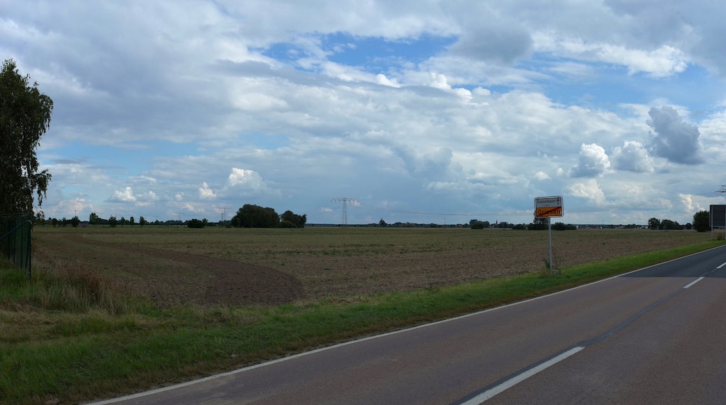 This is a picture of the Baudenkmal (cultural heritage monument) according to the Cultural Heritage Protection Law of Saxony-Anhalt with the ID