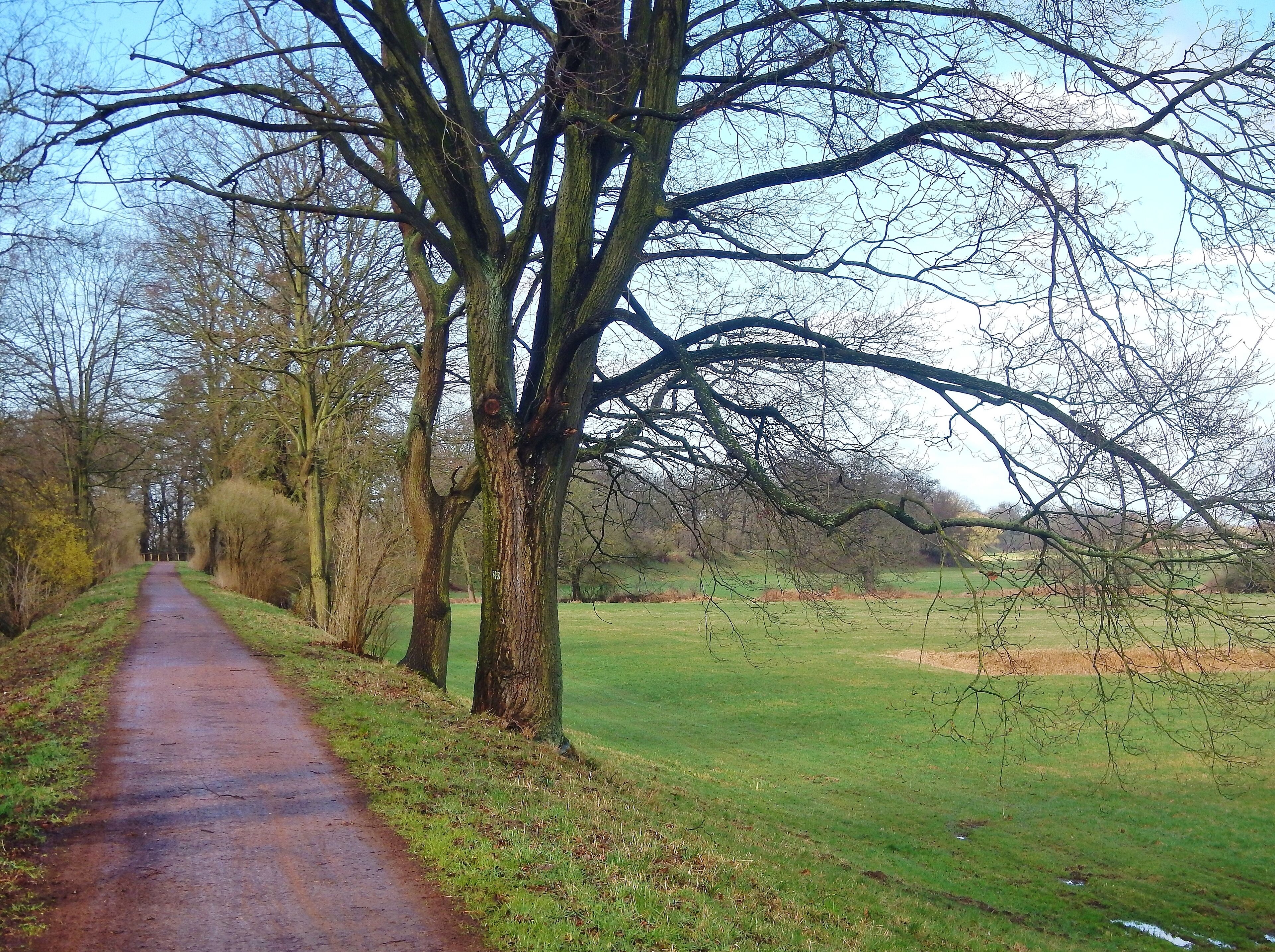Biosphärenreservat Mittel-Elbe
