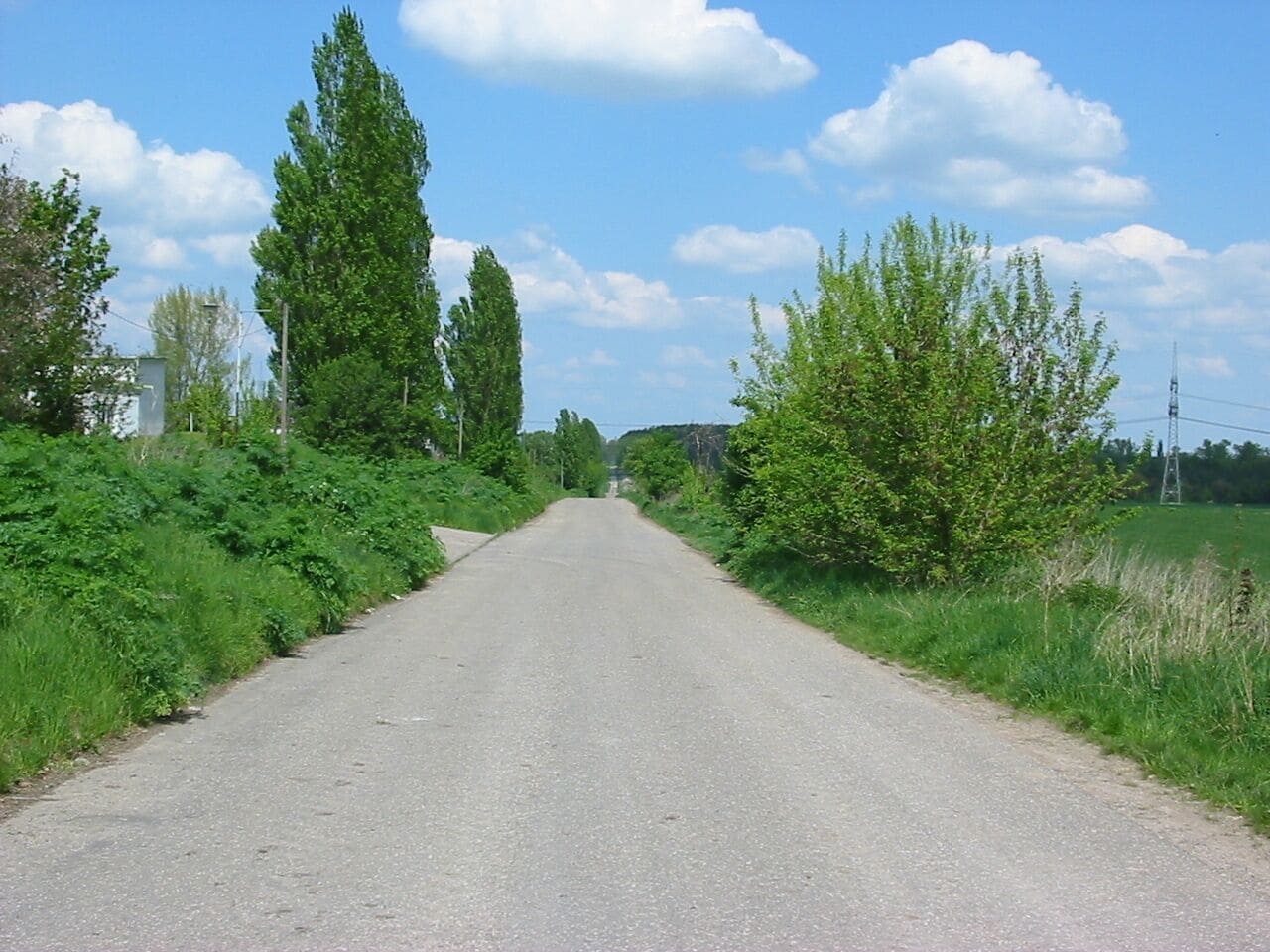 Blick zu den Basdorfer Teichen