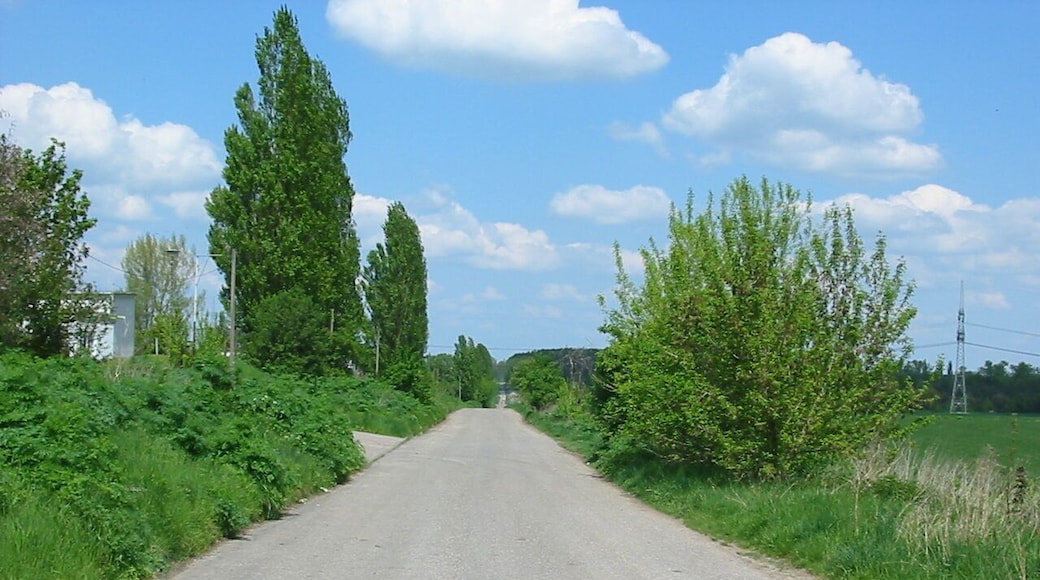 Blick zu den Basdorfer Teichen