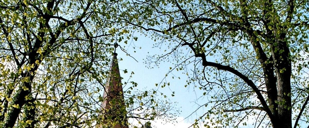 This is a picture of the Baudenkmal (cultural heritage monument) according to the Cultural Heritage Protection Law of Saxony-Anhalt with the ID