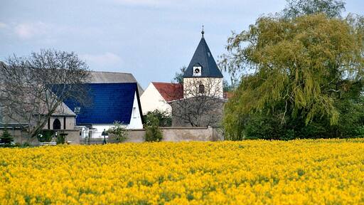 Eggersdorf (Bördeland), view to the Saint Martin church