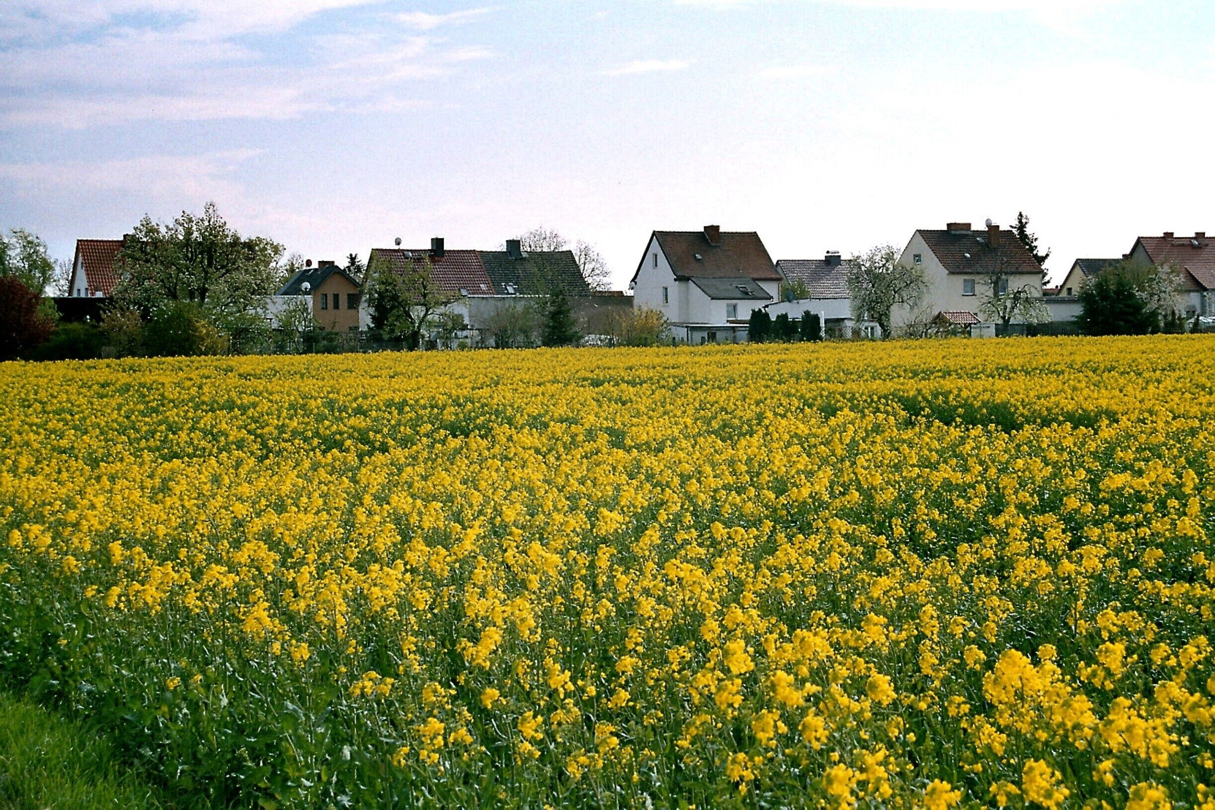 Eggersdorf (Bördeland), view to the Bahnhofstraße