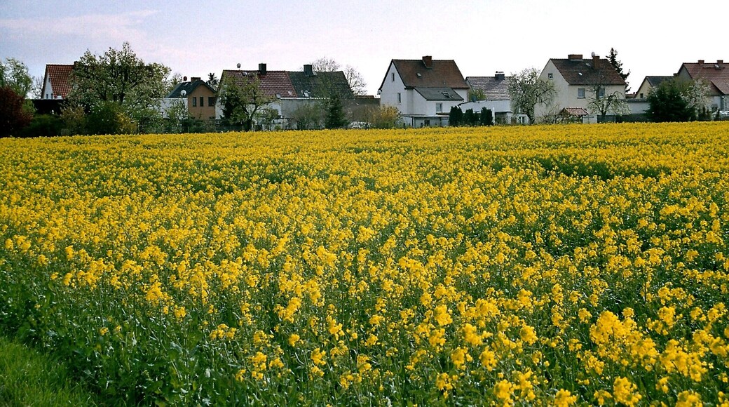 Eggersdorf (Bรถrdeland), view to the Bahnhofstraรe