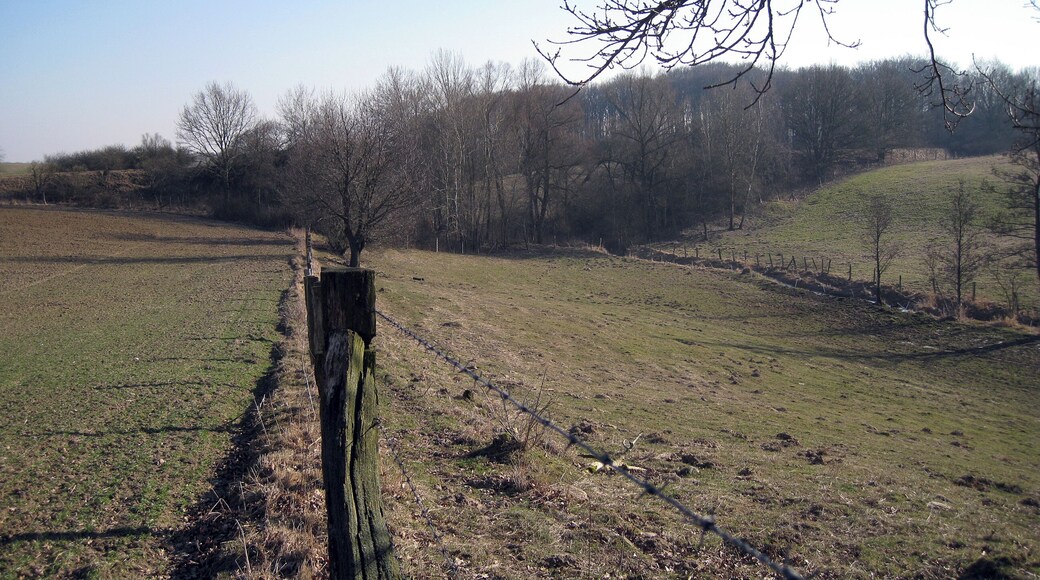 Nördlich an die Gramstorfer Berge schließen sich Weide- und Ackerflächen an. Naturschutzgebiet Gramstorfer Berge im Hintergrund.