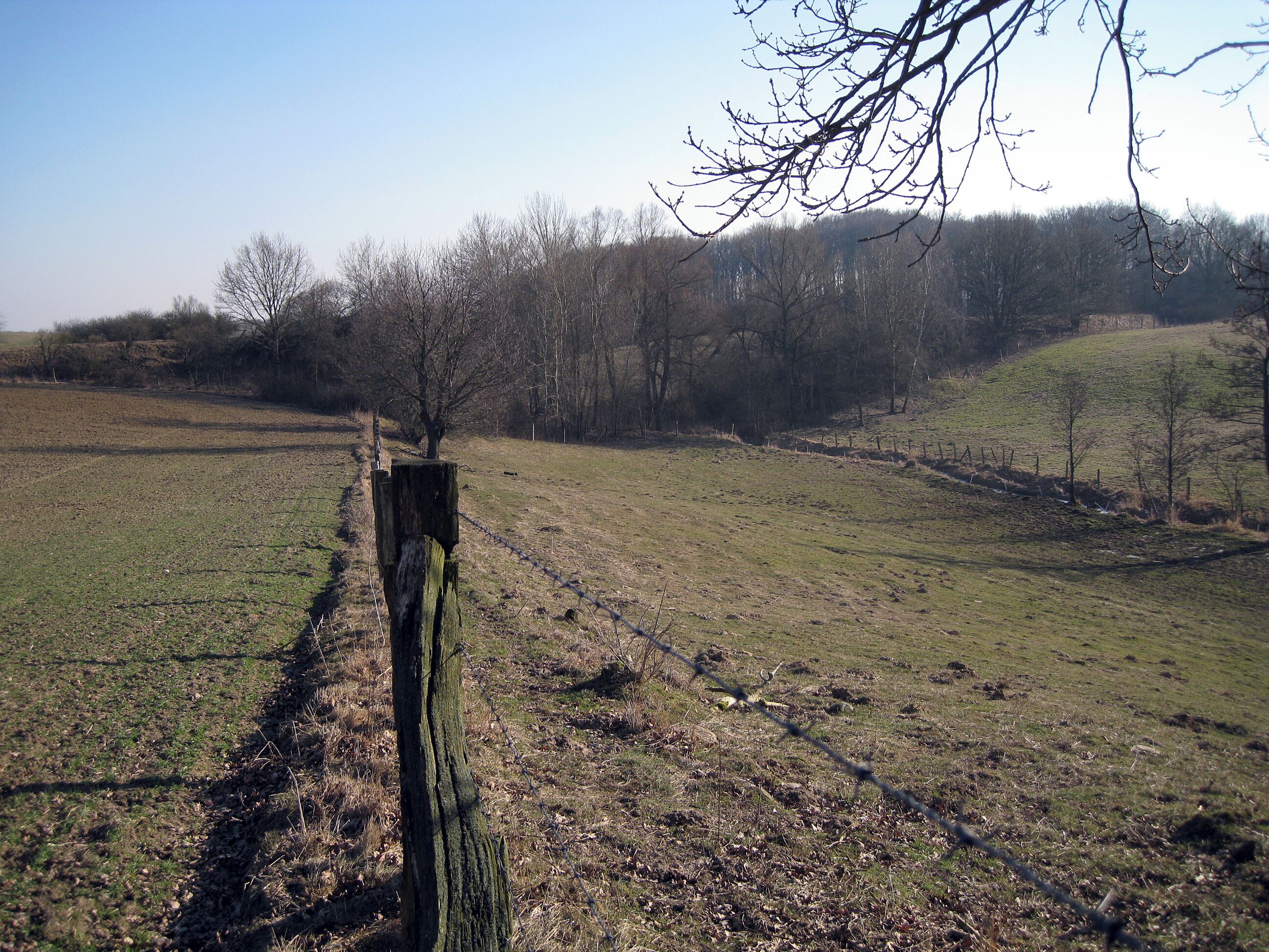 A rural landscape with a wooden fence, a grassy field, and a forest in the background.