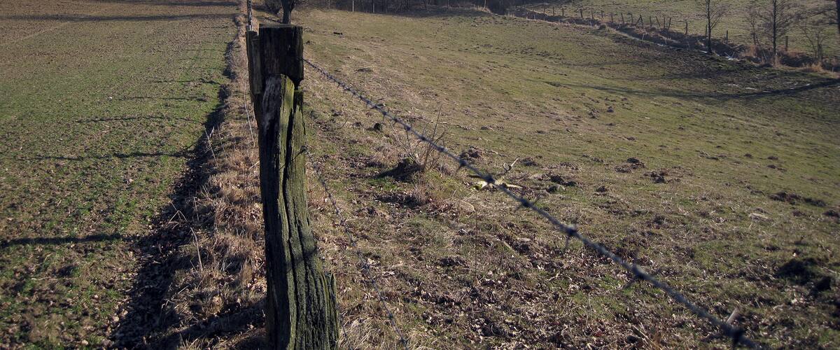 A rural landscape with a wooden fence, a grassy field, and a forest in the background.