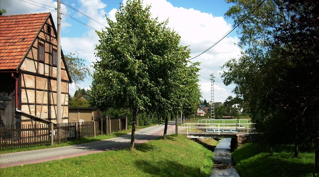 Gottesaubach stream in the eastern part of Altmittweida (Mittelsachsen district, Saxony)