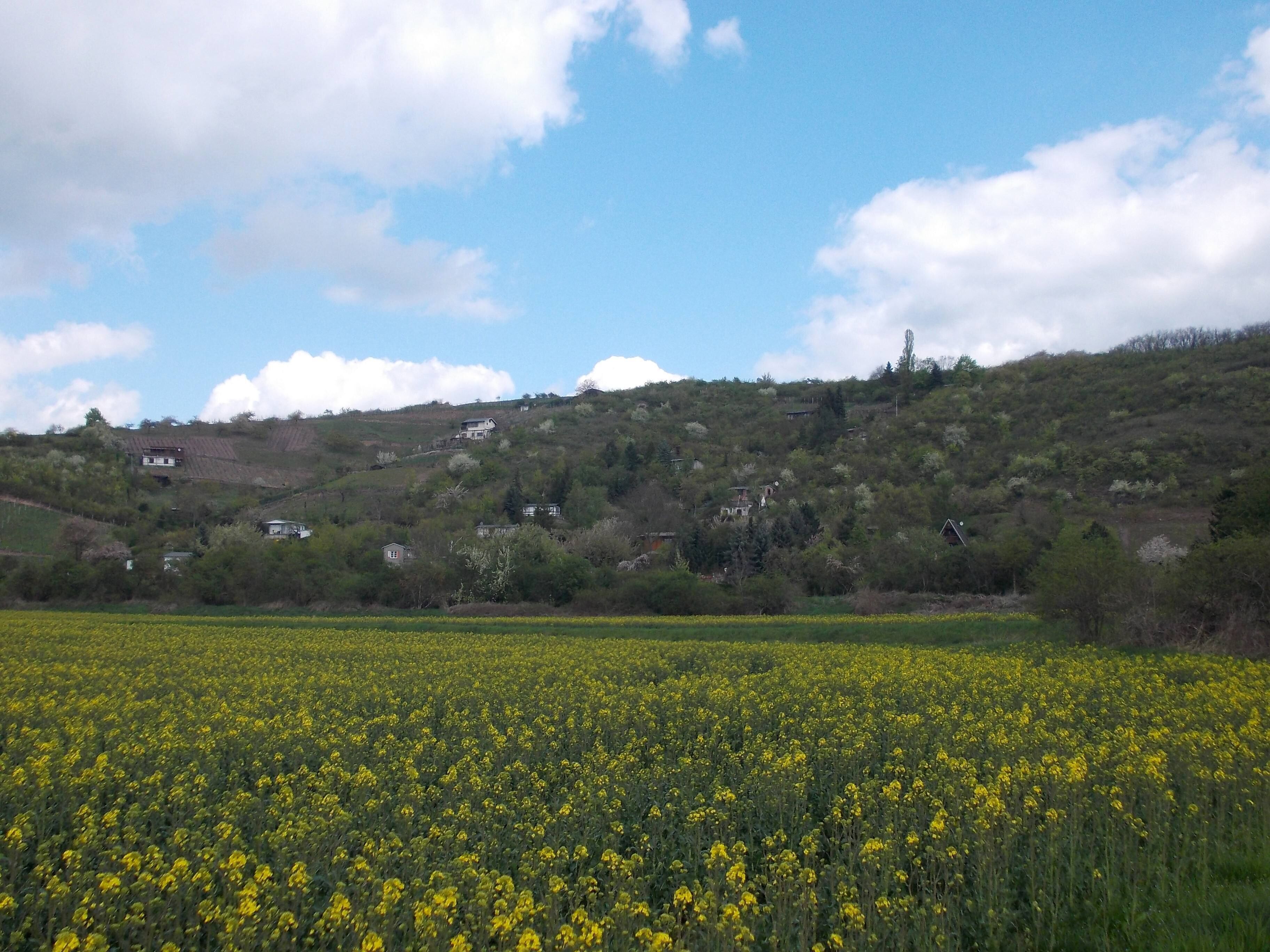 Röse Valley west of Höhnstedt (Salzatal, district: Saalekreis, Saxony-Anhalt), on the boundary of the Lower Saale Valley Nature Park