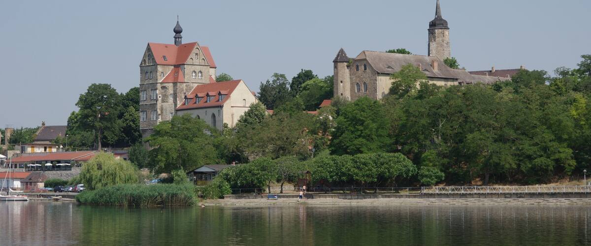 A riverside town with historic buildings, including a church with a tower and a castle-like structure.