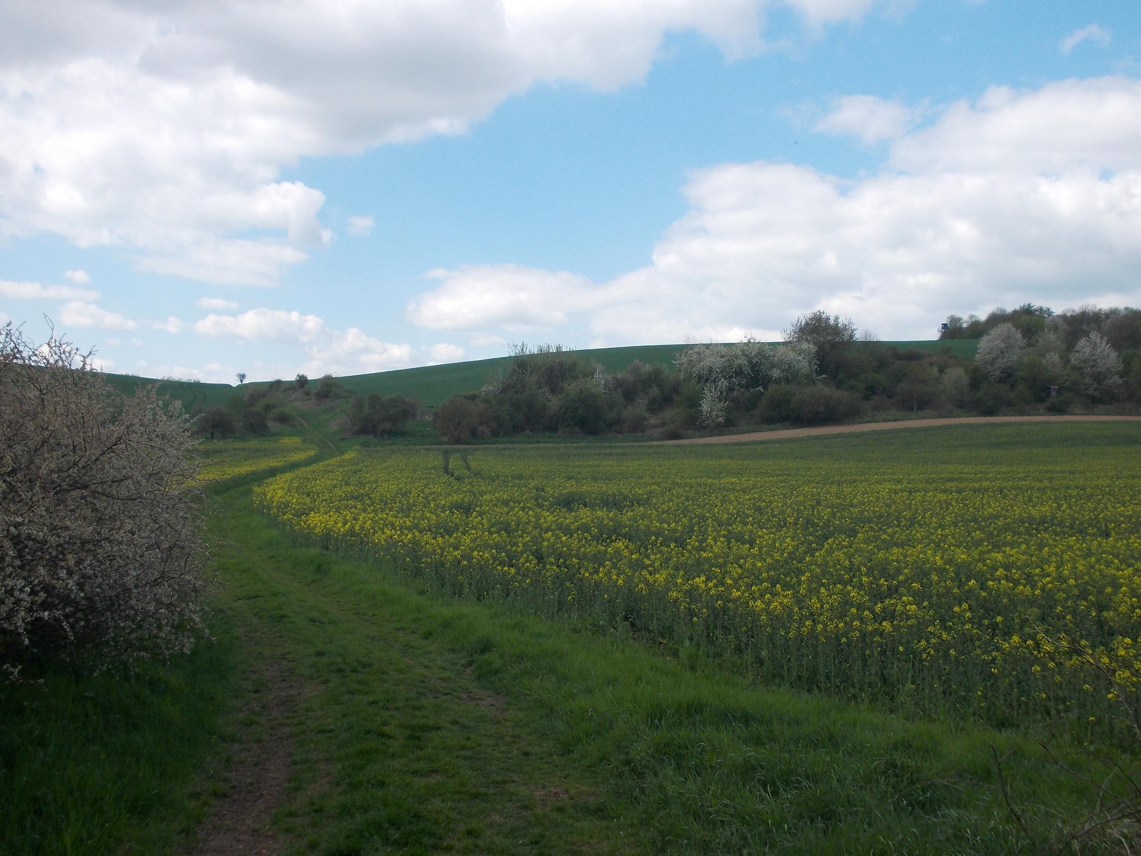 Röse Valley west of Höhnstedt (Salzatal, district: Saalekreis, Saxony-Anhalt), on the boundary of the Lower Saale Valley Nature Park
