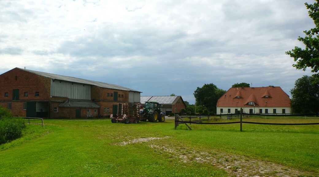 Gutsanlage mit Gutshaus, Torhaus und zwei Ställen in Klein Wokern