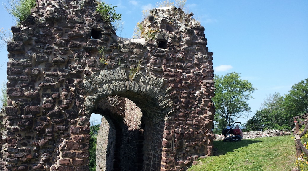 Ebersburg, bei Buchholz im Harz, Juli ´13