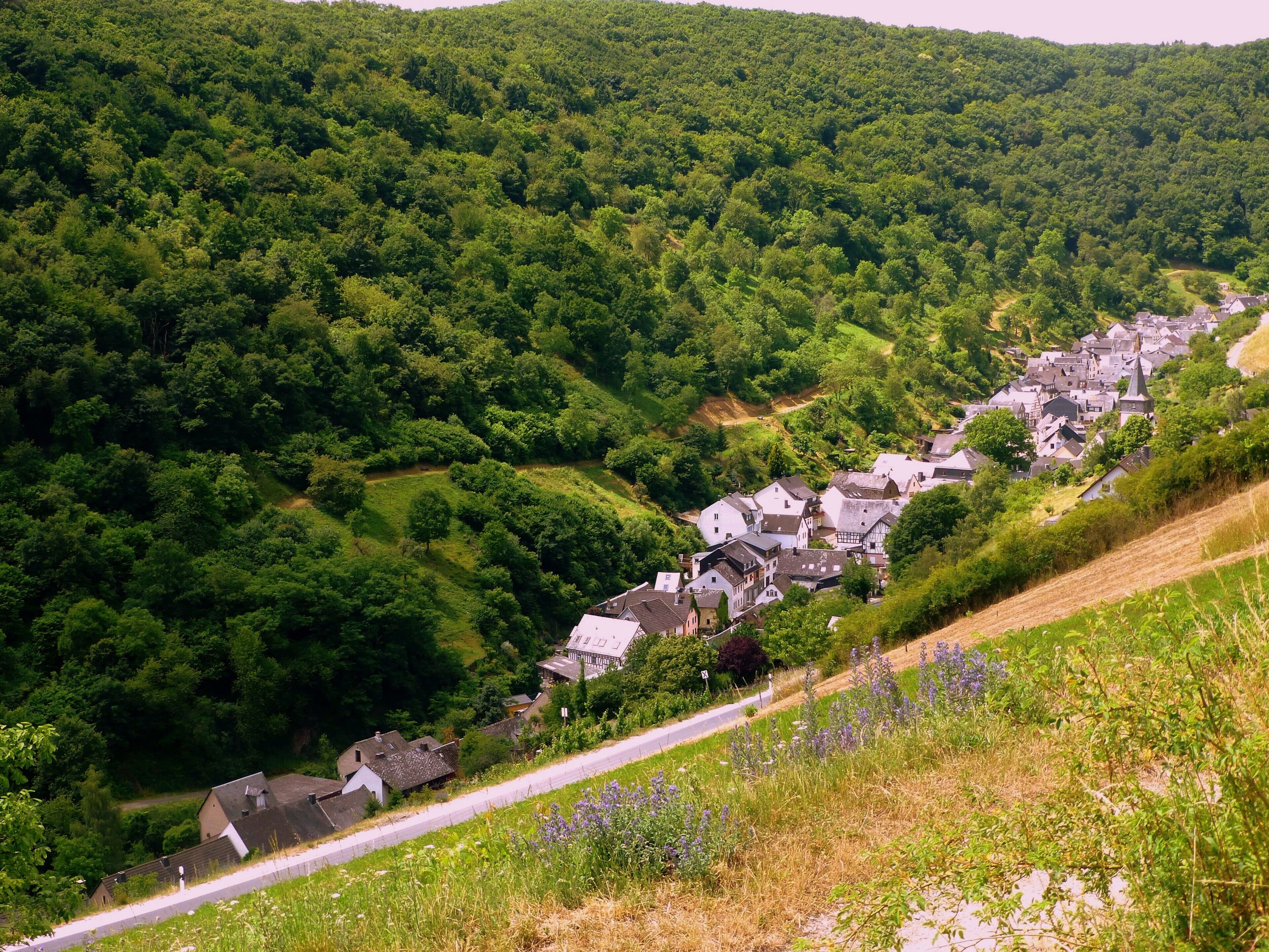 A village nestled in a valley surrounded by dense forest.