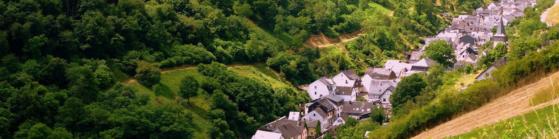 A village nestled in a valley surrounded by dense forest.