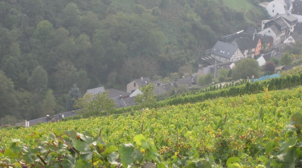 Über den Dächern von Manubach