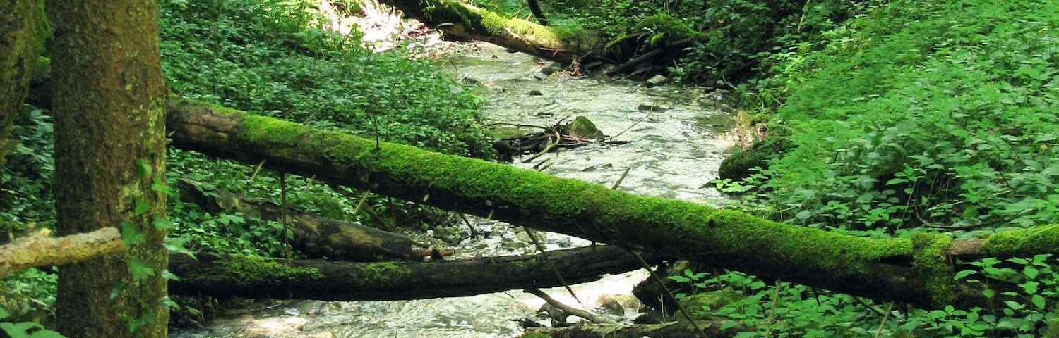Der Grenzbach im Landkreis Weilheim-Schongau, ein Zufluss des Lothdorfer Baches, markierte ehemals die Grenze zwischen den Klöstern Benediktbeuern (Bistum Augsburg) und Schlehdorf (Bistum Freising).