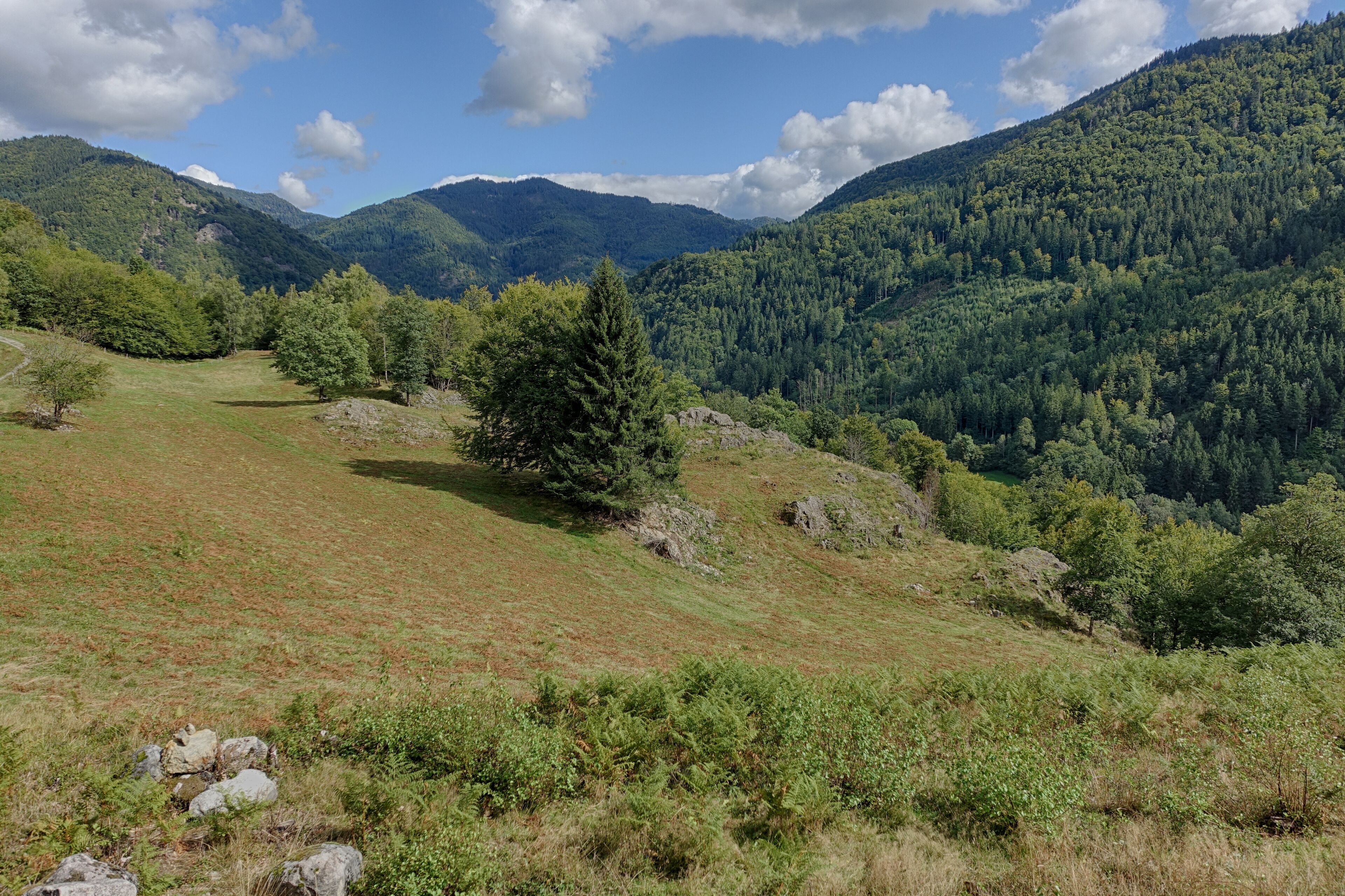 Felspartien der kleinen und großen Utzenfluh aus Präkulmgestein, Porphyren, Grauwacken und Biotitgraniten; interessante Flora und Fauna; bei Erweiterung 2011 wurden die umliegenden Weidfelder einbezogen.