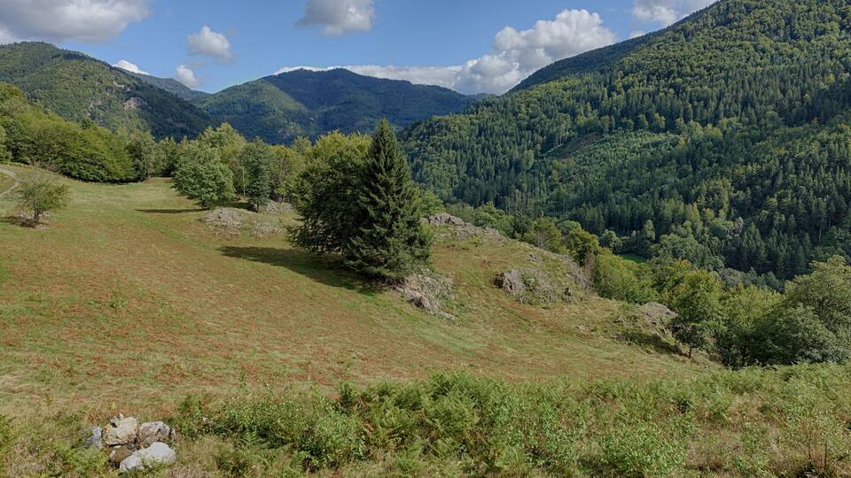 A mountainous landscape with a grassy field, trees, and a clear sky.