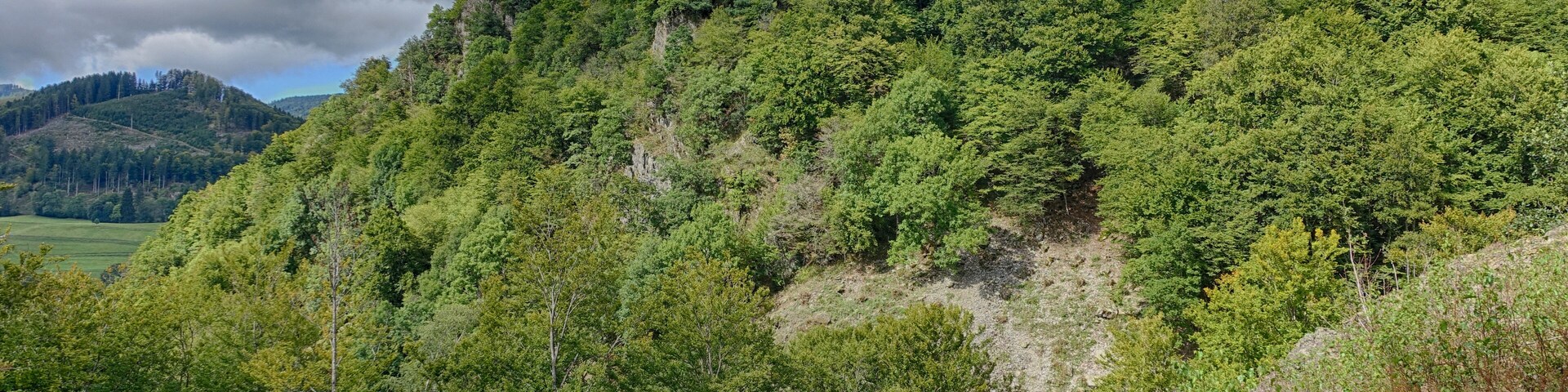 Felspartien der kleinen und großen Utzenfluh aus Präkulmgestein, Porphyren, Grauwacken und Biotitgraniten; interessante Flora und Fauna; bei Erweiterung 2011 wurden die umliegenden Weidfelder einbezogen.