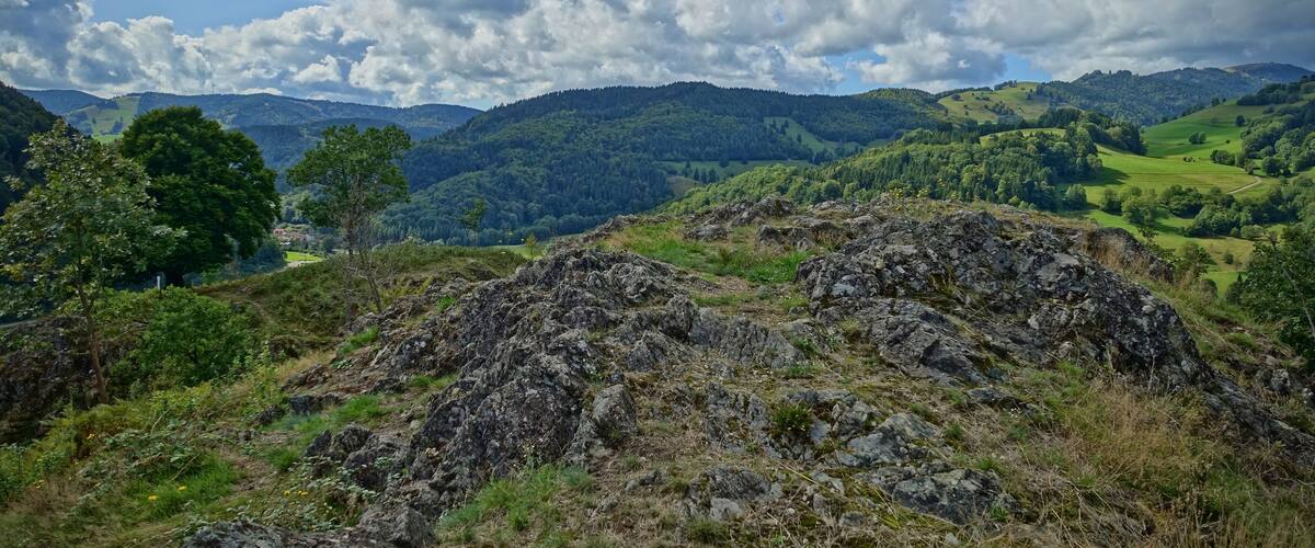 Felspartien der kleinen und großen Utzenfluh aus Präkulmgestein, Porphyren, Grauwacken und Biotitgraniten; interessante Flora und Fauna; bei Erweiterung 2011 wurden die umliegenden Weidfelder einbezogen.