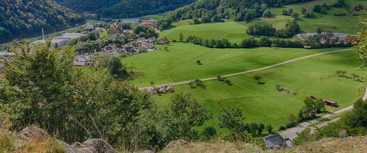 Felspartien der kleinen und großen Utzenfluh aus Präkulmgestein, Porphyren, Grauwacken und Biotitgraniten; interessante Flora und Fauna; bei Erweiterung 2011 wurden die umliegenden Weidfelder einbezogen.